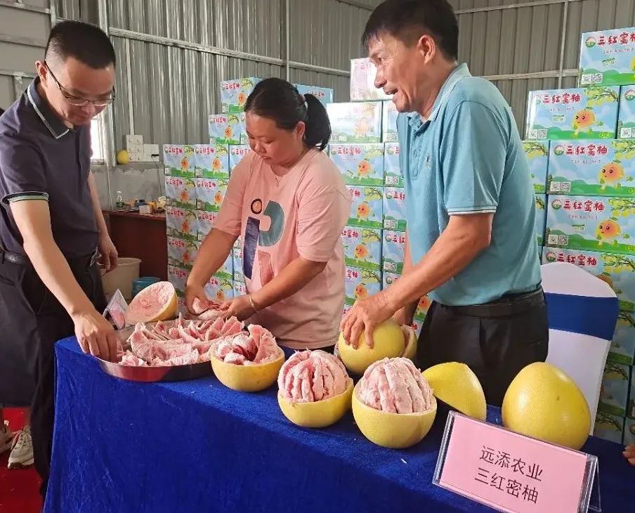 微信圖片_20230913183010.jpg 圖片