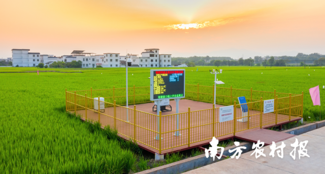 韶關市南雄市湖口鎮承平村高標準農田示范項目