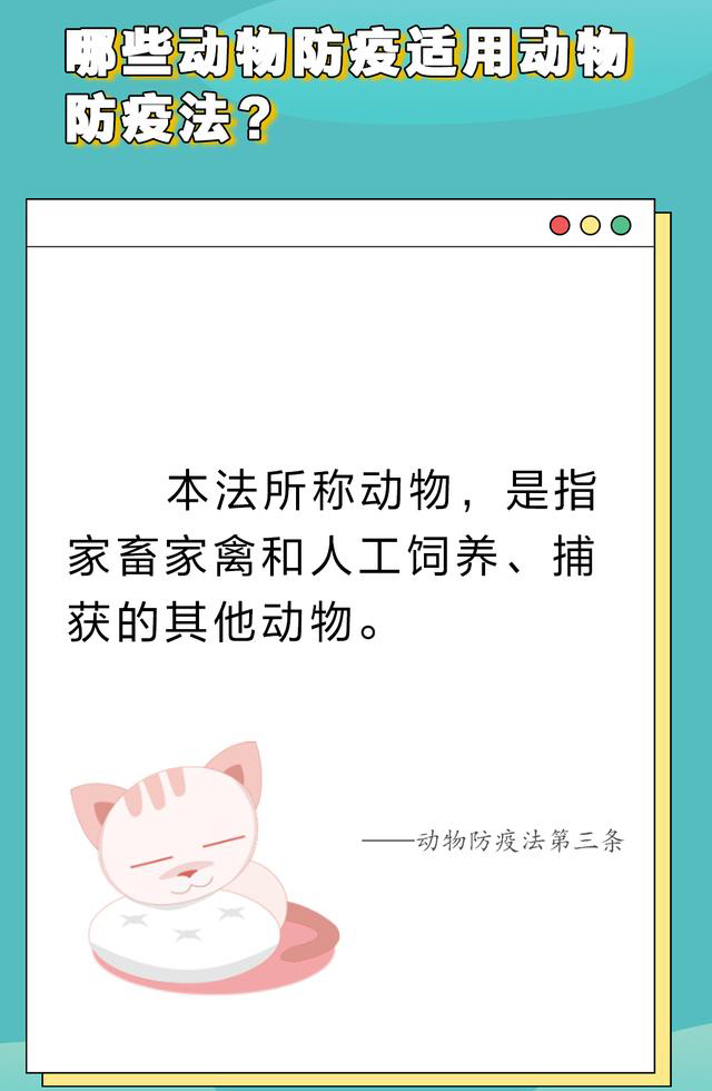 《動物防疫法》哪些值得關注1.jpeg