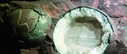 河源市恐龍博物館