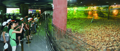 河源市恐龍博物館