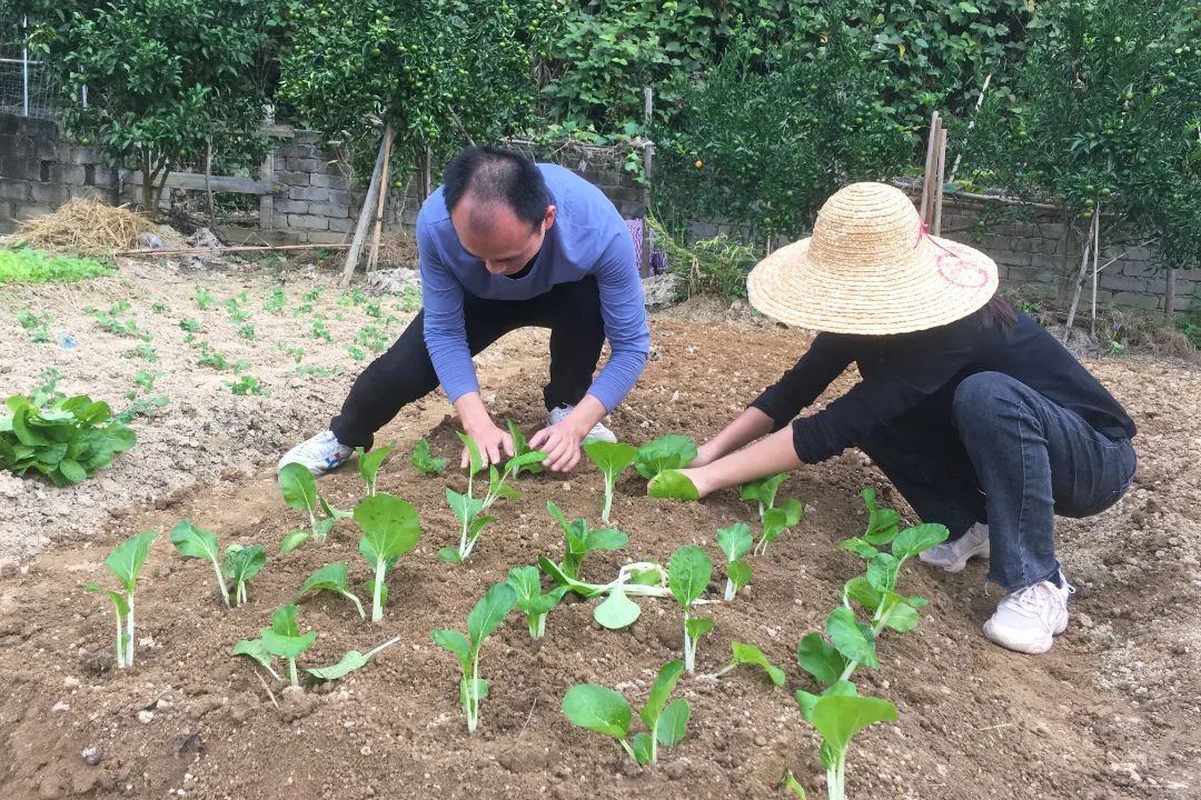 微信圖片_20211108105132.jpg 圖片