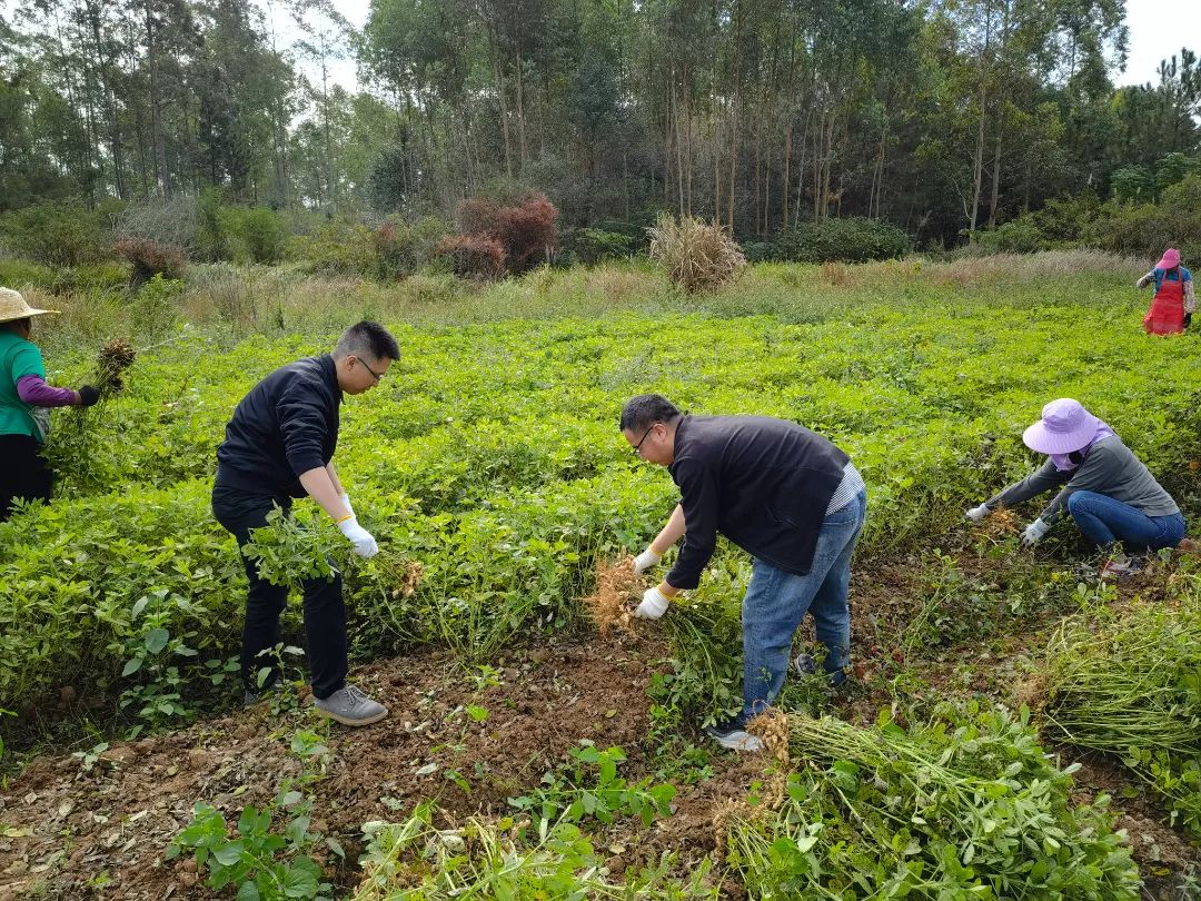 微信圖片_202111241550385.jpg 圖片