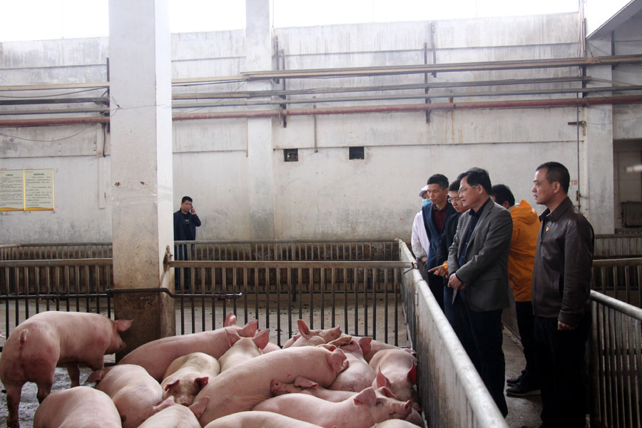 1549036951170068536.jpg 微信圖片_20190201235608.jpg