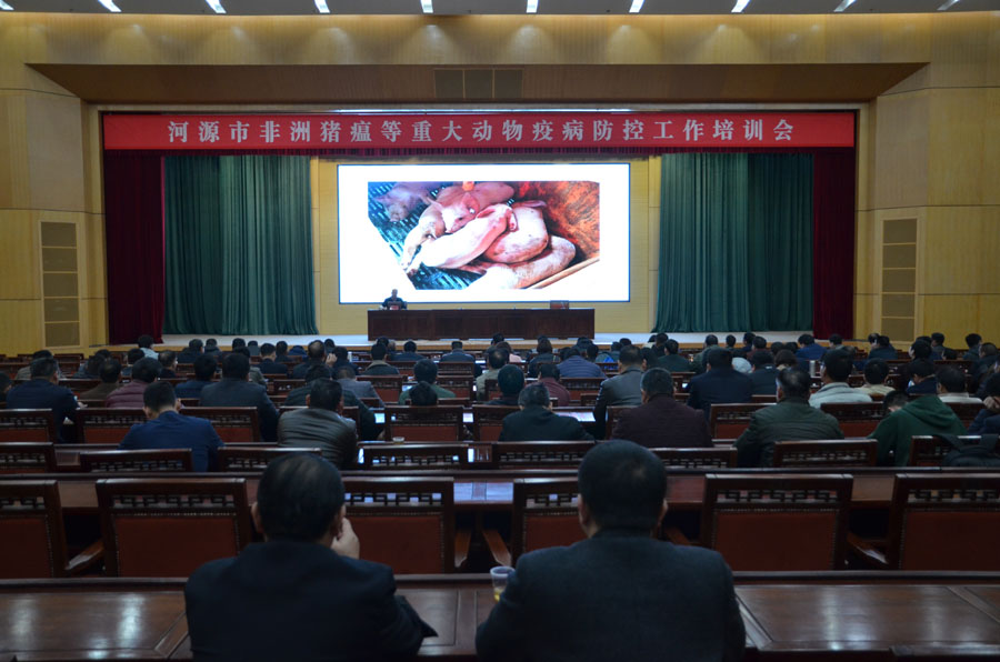 C:UsersPPAPDesktop.01u6211市舉辦非洲豬瘟防控專題培訓班（信息稿）DSC_3719.jpg
