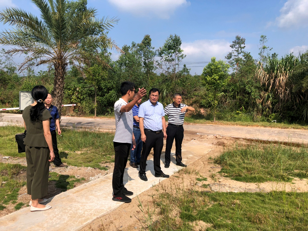 1571389756096073323.jpg 圖片01.jpg