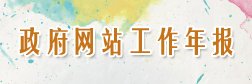 政府網(wǎng)站年度工作報(bào)表