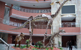 恐龍故鄉(xiāng)